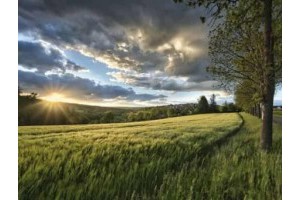 桂林兴安区的旅游景点介绍，桂林兴安附近景点