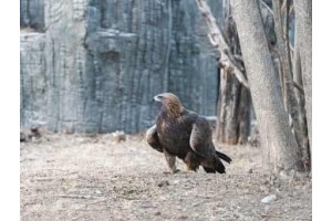 扬州冬季旅游景点攻略一日游，扬州自驾游攻略二日游
