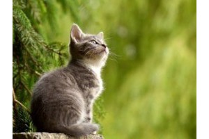 郑州港区旅游景点推荐一下，郑州港区附近好玩的地方