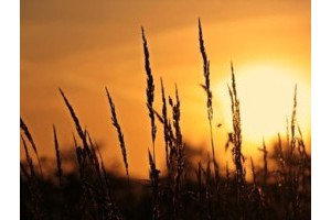 桂林最佳旅游景点介绍，桂林五日游攻略和景点