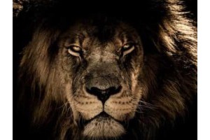 绍兴旅游景点攻略三日游，绍兴旅游必去十大景点推荐