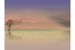 桂林百寿岩旅游景点介绍，桂林永福百寿镇好玩吗