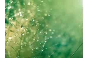 桂林县城旅游景点大全介绍，桂林旅游攻略必去景点图片