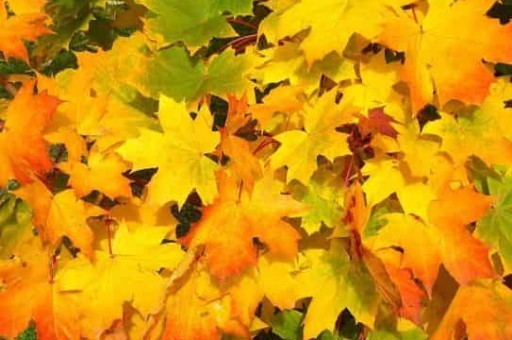 绍兴市区旅游景点攻略，绍兴景点详解