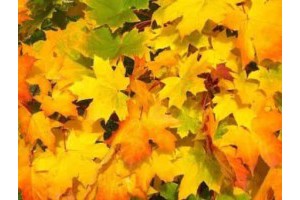 郑州附近的旅游景点推荐表，郑州市附近好玩的景点排行榜