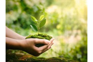 绍兴旅游景点攻略二日游自驾游，绍兴一日游最佳景点