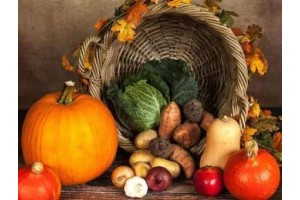 南充景点推荐 旅游景点排名，南充旅游必去十大景点