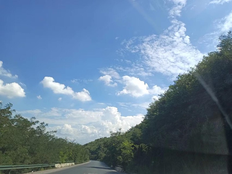 颠倒博物馆原理是什么