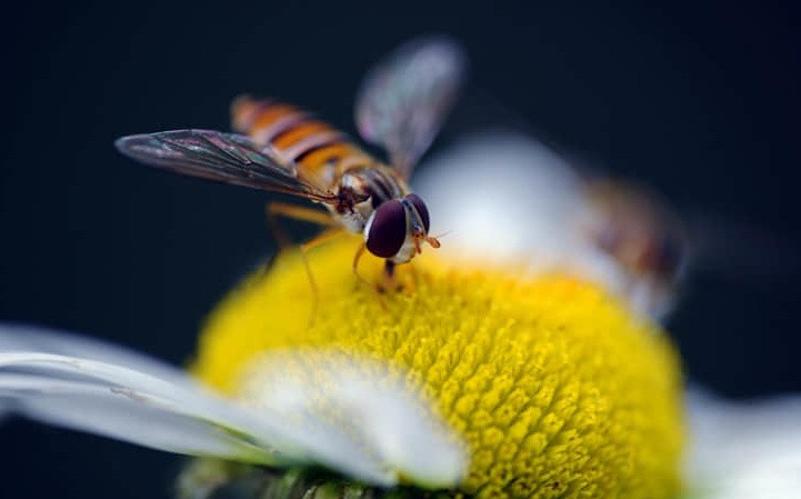 南昌之星摩天轮