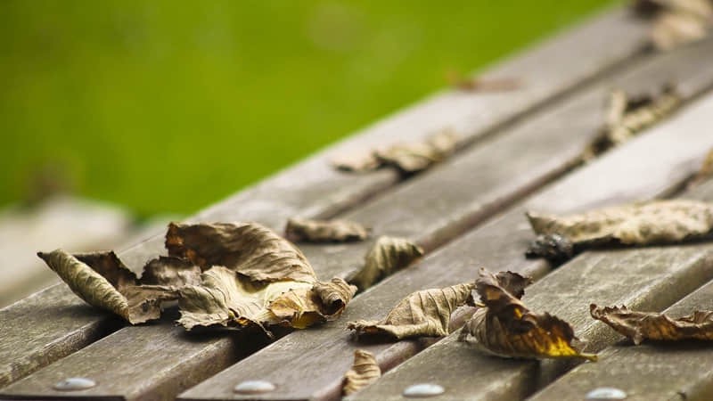 重庆打卡地点景点
