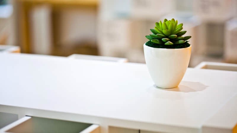 莆田度假旅游景点