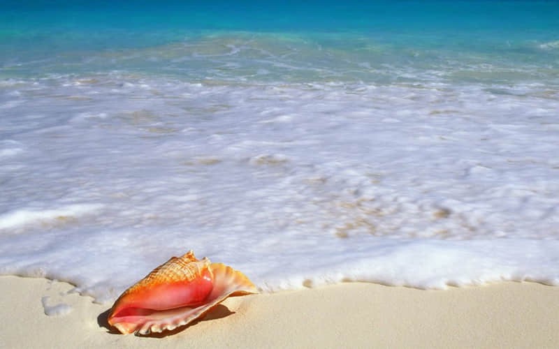 旅游西安景点攻略图