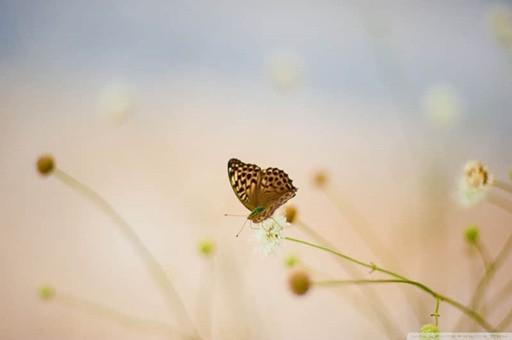 郴州两日游必去的景点
