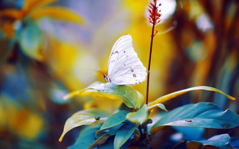 井冈山自驾游必看攻略！