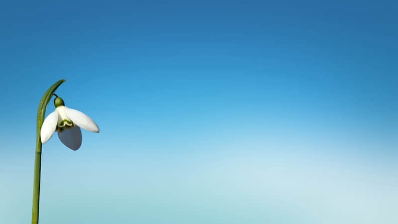 亲子上海旅游攻略 亲子上海旅游攻略