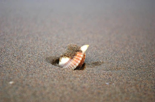 自由行三亚旅游攻略