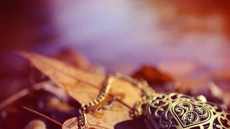 云南4日游报团价格