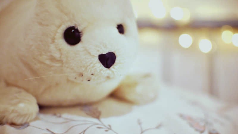 长沙度假村攻略旅游