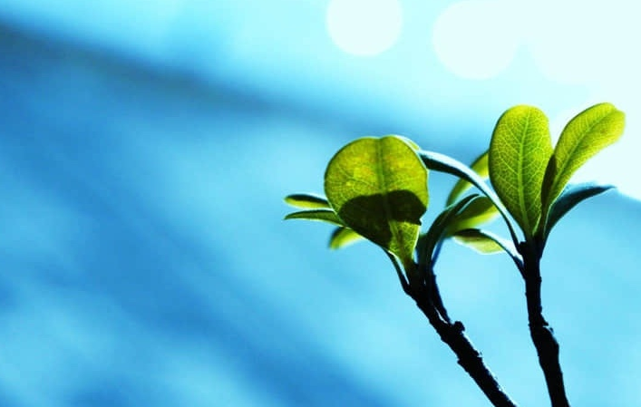 泰山在哪里哪个城市