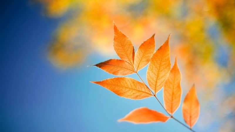 带小孩自助游北京