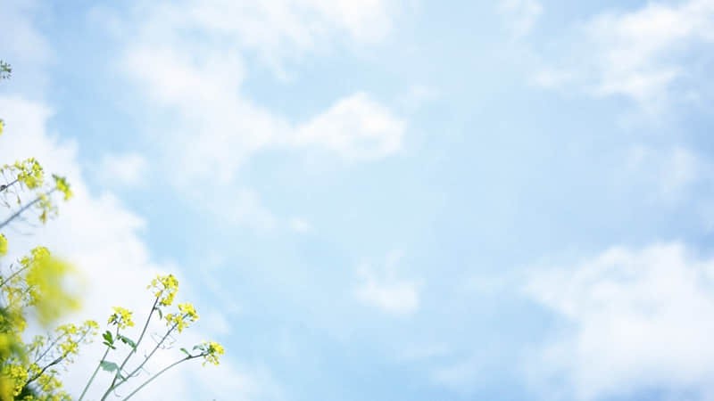 重庆热门景点及美食推荐