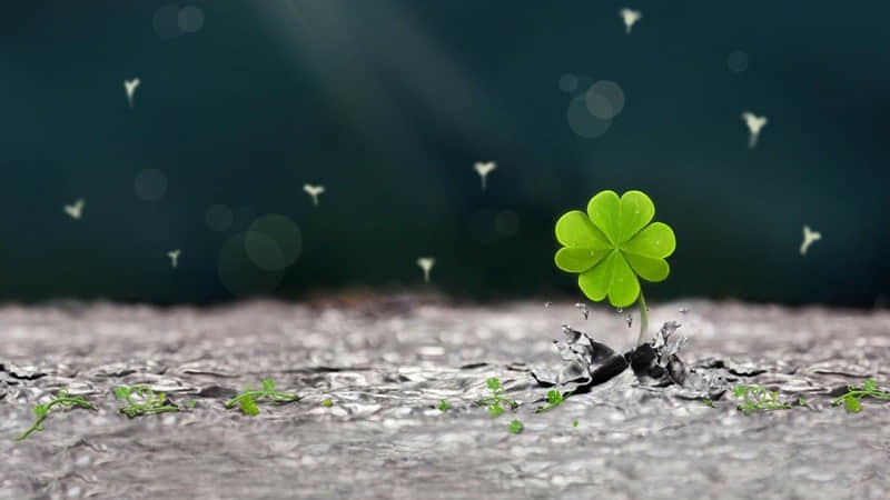 河南下雨天自驾游景点推荐