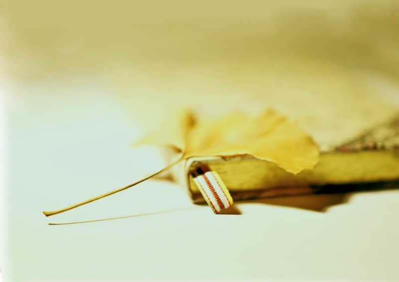 华南旅游攻略必去景点大全