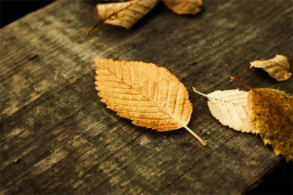 旅游腾冲必去景点