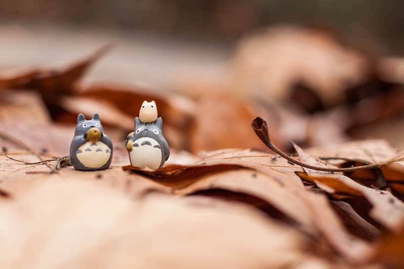 达蓬山旅游度假村