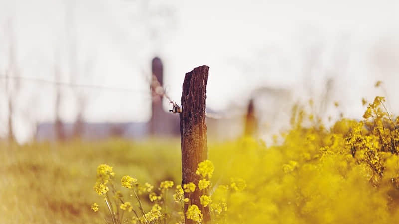 北方旅游景点拍照攻略