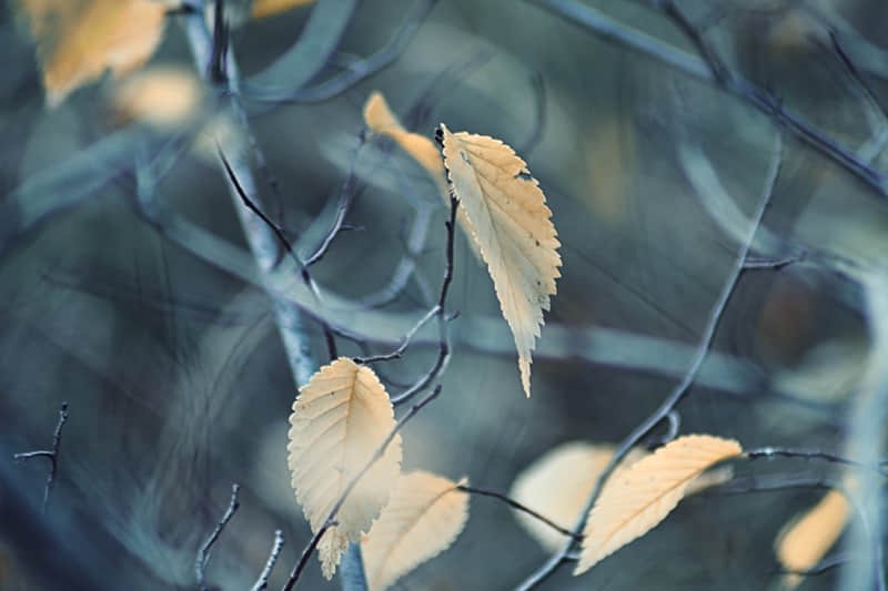 茂名旅游攻略打卡景点推荐