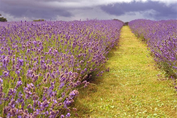 上海到北京自驾游