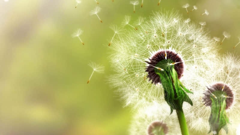 公交美食攻略旅游景点