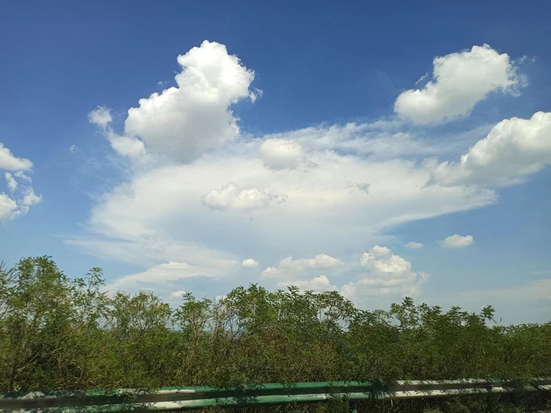 高州度假旅游村美食推荐 高州度假旅游村美食推荐