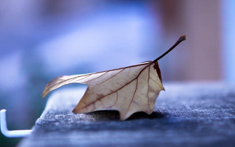 情侣一生必去的旅游