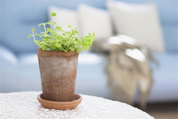 英德旅游景点攻略游戏推荐