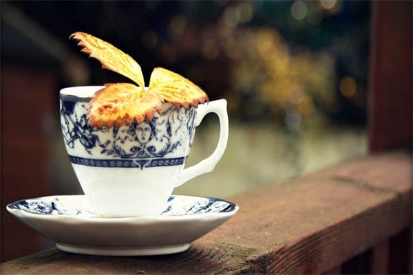 北京景点在哪里买票