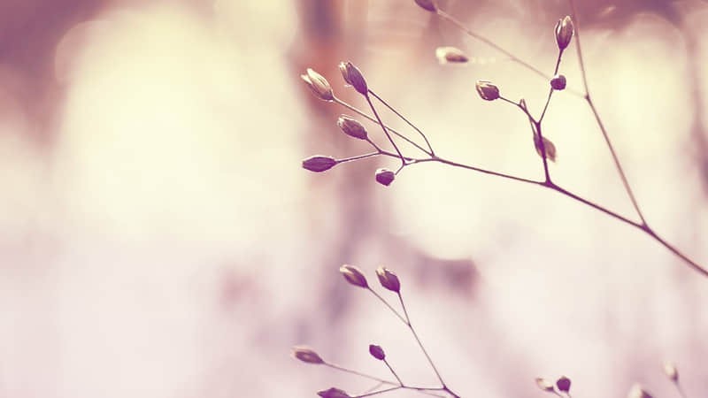 临安周边游玩景点重庆