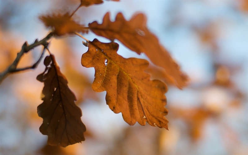 情侣必去旅游城市