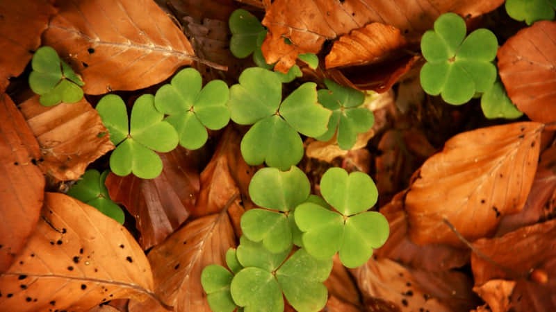 大理旅游攻略必玩的景点