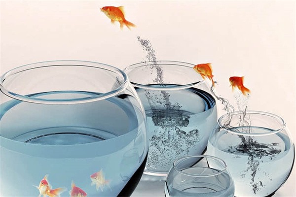 江苏如皋旅游攻略景点