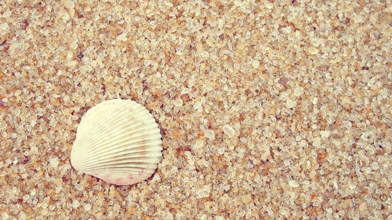 亚拉巴海旅游度假区