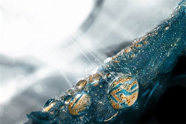 重庆多巴胺打卡景点