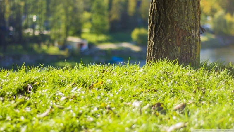 附近有哪些旅游景点