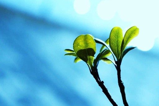 北京旅游景点旺季门票价格多少