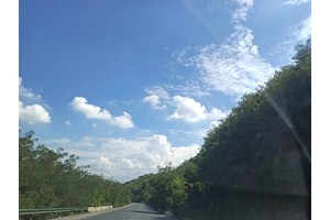 凯恩斯热带雨林公园（凯恩斯热带雨林公园门票）