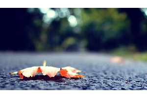 潍坊市旅游度假区（潍坊市旅游度假区地图）