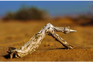 南京旅游必去的景点动物园（南京值得去的动物园）