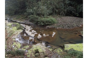 昆明免费旅游攻略景点大全（昆明免费旅游攻略景点大全一日游）