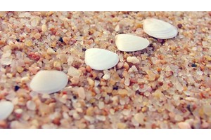 牛湾旅游度假岛攻略